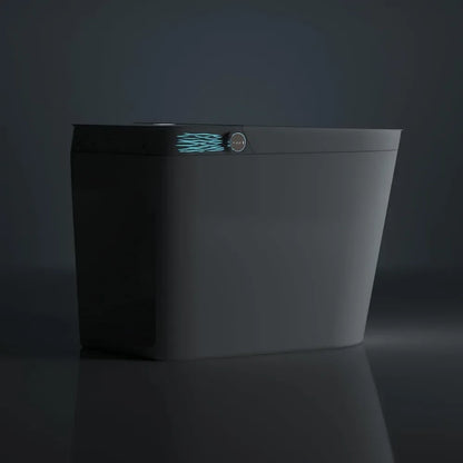 Bidet Toilet with Bidet Built in, Auto Flush, Heated Seat, Warm Air Drying, Modern Smart Toilet